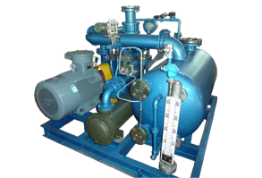 石化行業真空機組2BT 252 石化行業真空機組2BT 252